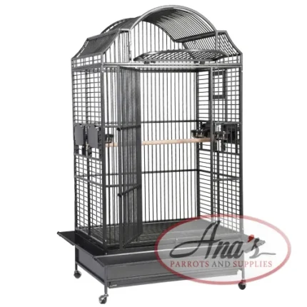 306 European Style Napoleon Top Cage