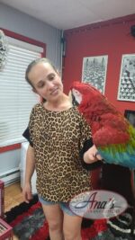 Gorgeous Green Wing Macaw